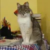 Отзыв от Лидия Грекова